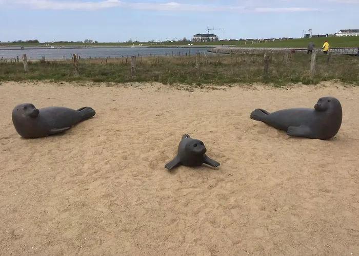 Abendsonne 3* Büsum